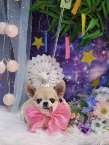 20250713momoちゃん